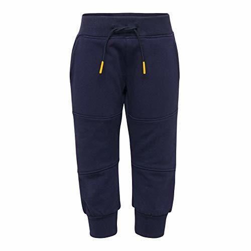 LEGO Wear Duplo Boy Lwpan Pantalones de Deporte, Azul