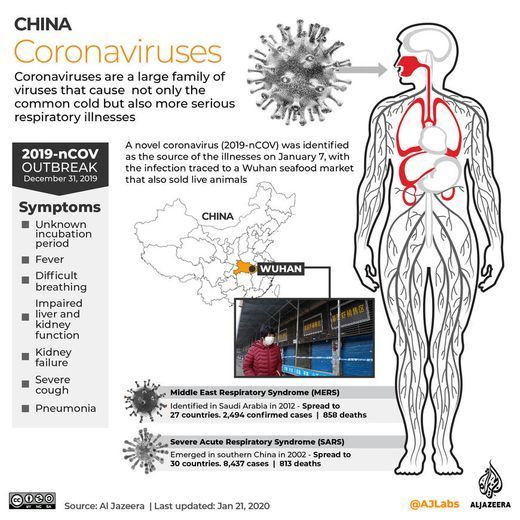 Movie Coronavirus, cómo comenzó todo