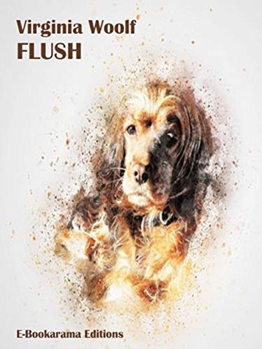 Libro Flush
