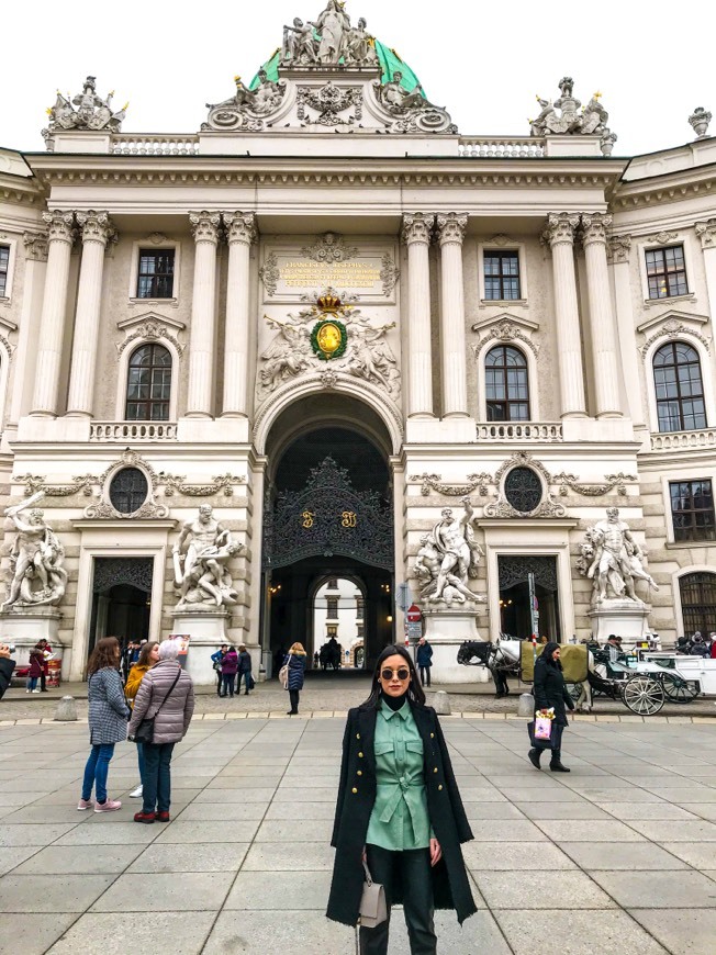 Place Hofburg Palace