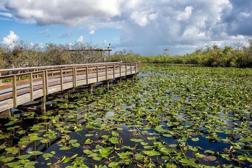 Everglades National Parks Visitor Center