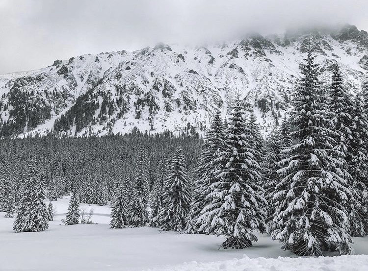 Moda Zakopane- Tatra Mountains