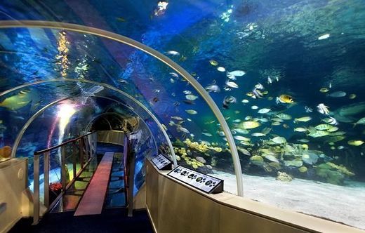 SEA LIFE Centre London Aquarium