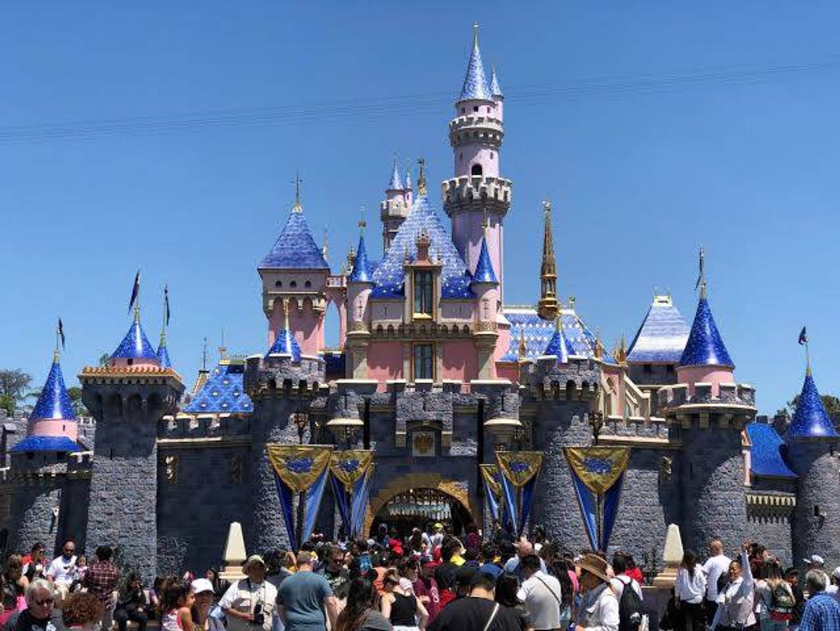 Place Disneyland Resort