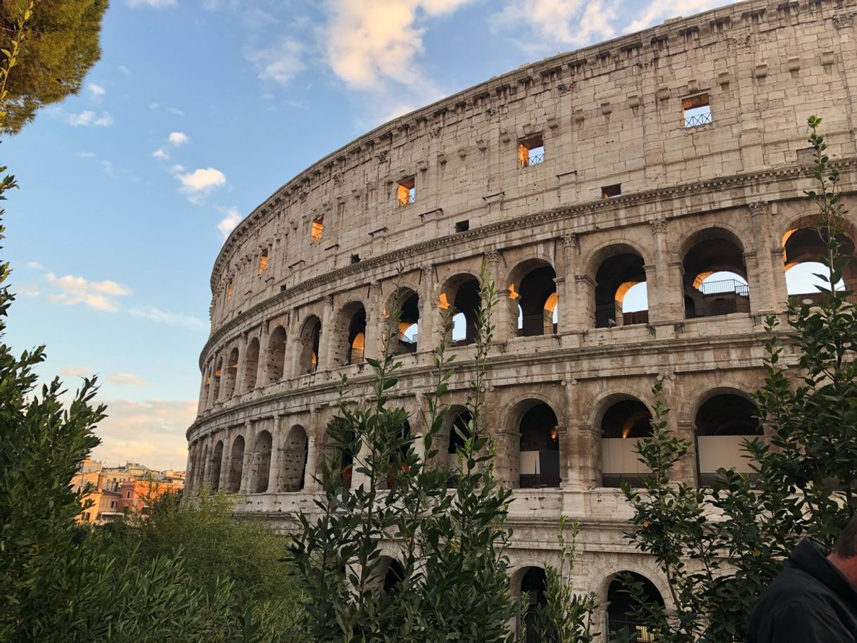 Place coliseo romano