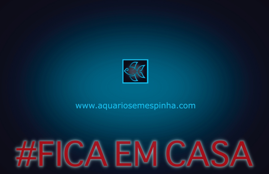 Moda Aquariosemespinha.com - Home | Facebook