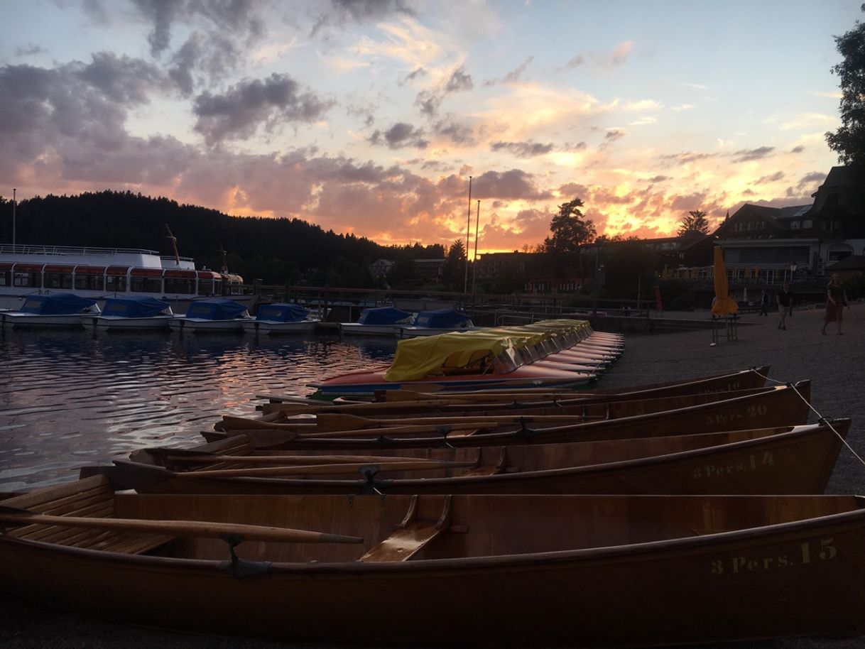 Lugar Titisee-Neustadt