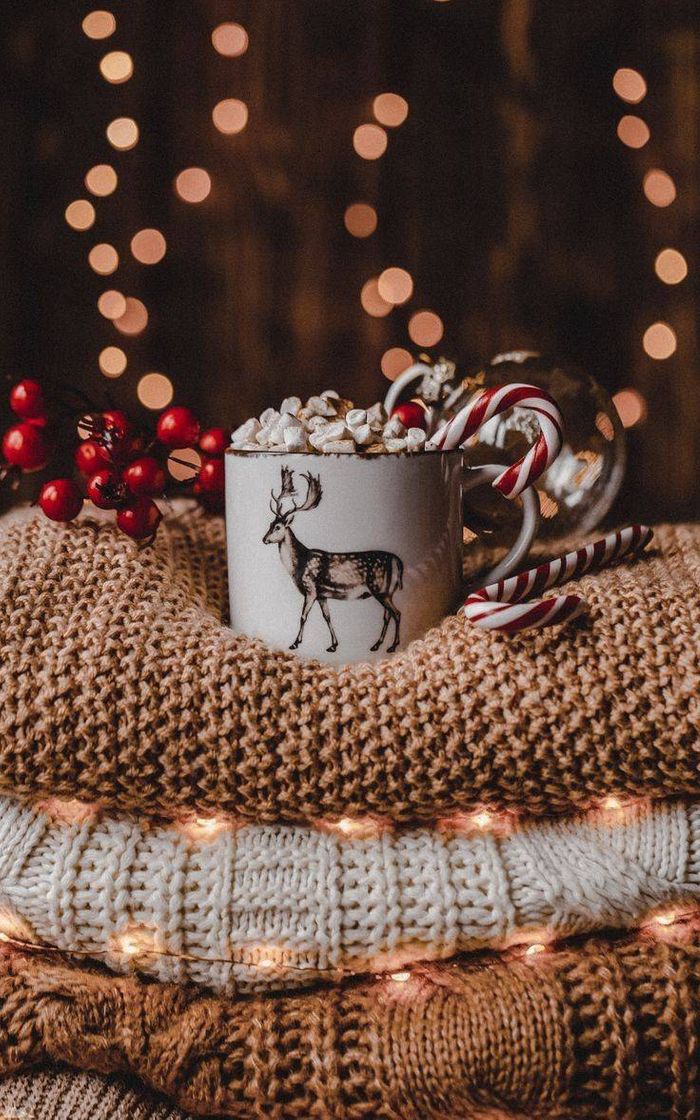 Social 🦌