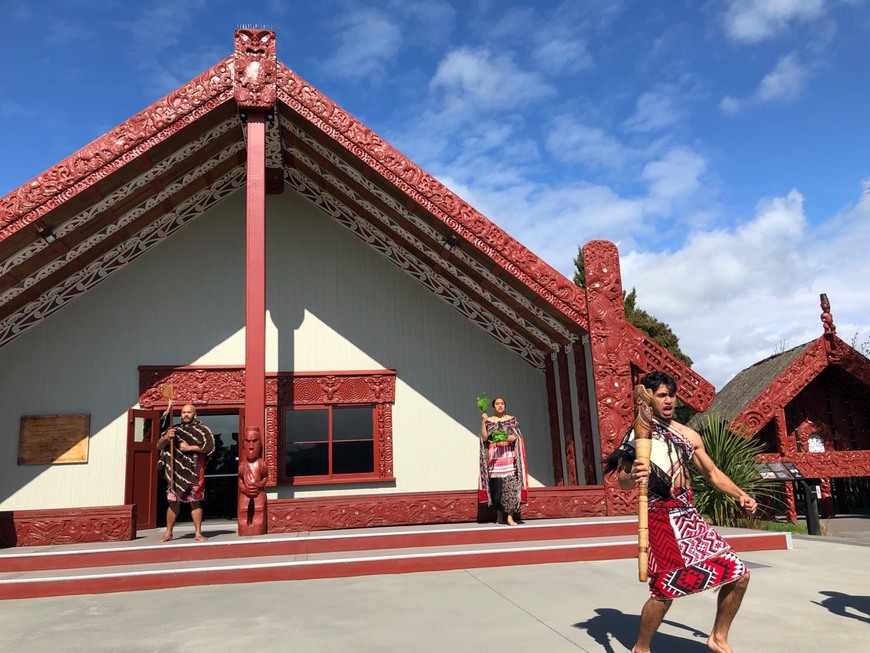 Lugar Te Puia - Rotorua, NZ