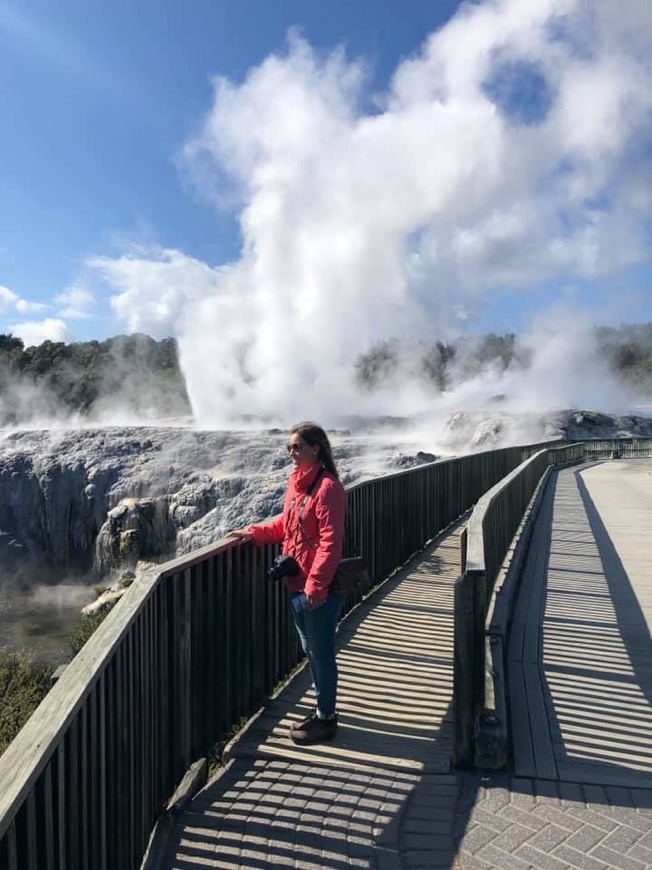 Place Te Puia Pohutu Geyser