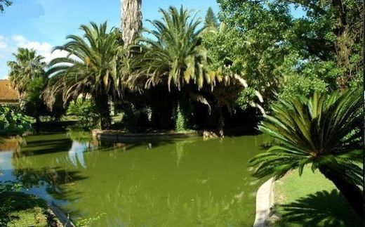 Tropical Botanical Garden