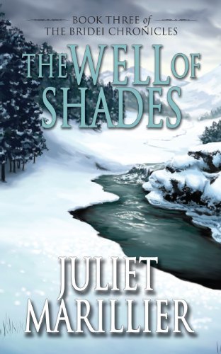 Libro The Well of Shades