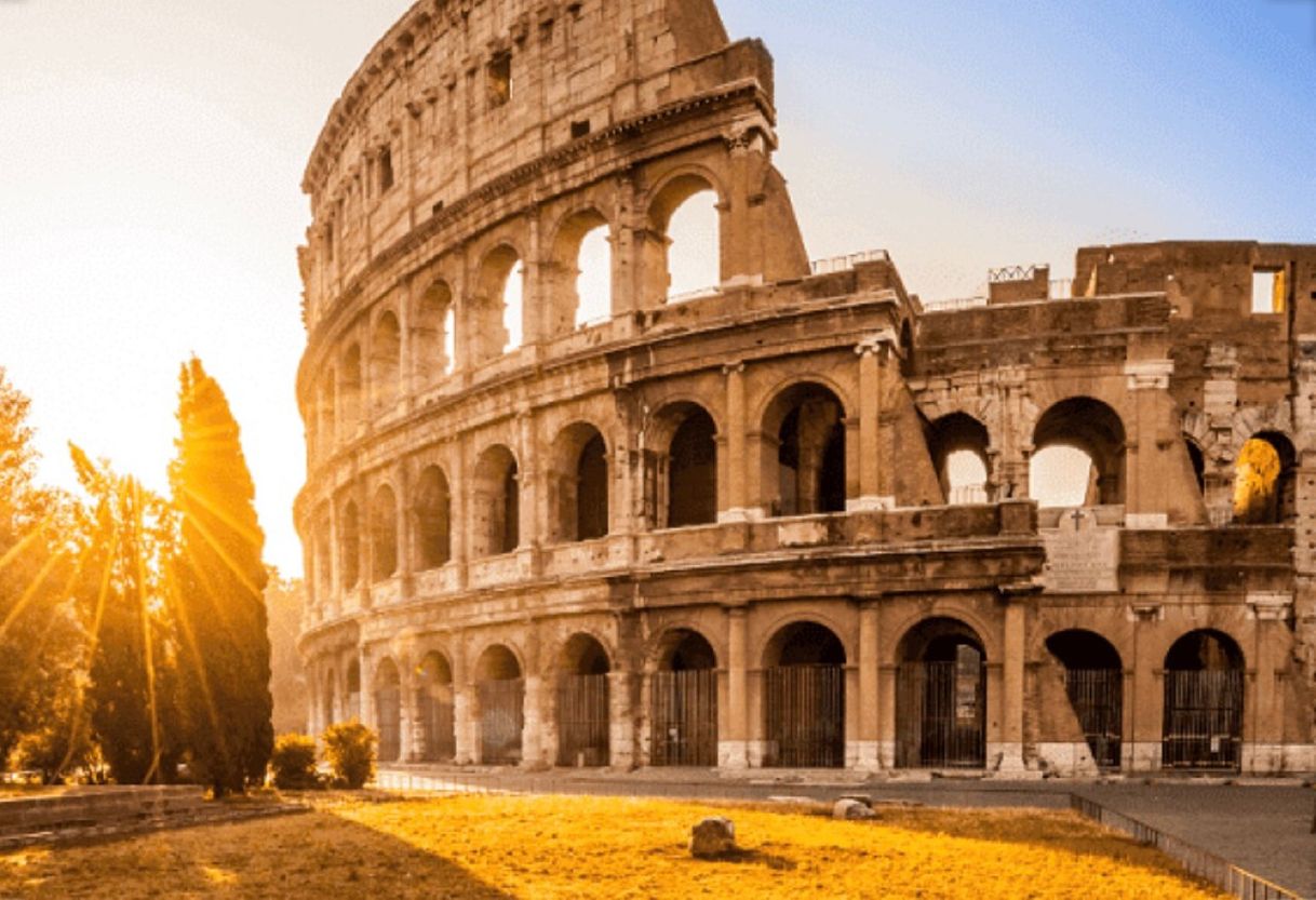 Lugar Coliseo de Roma