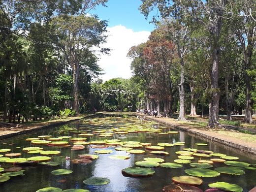 Jardín Botánico de Pamplemousses