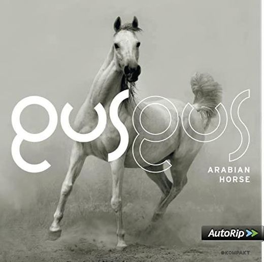 Gusgus - Arabian Horse, music album, house, rock,electro