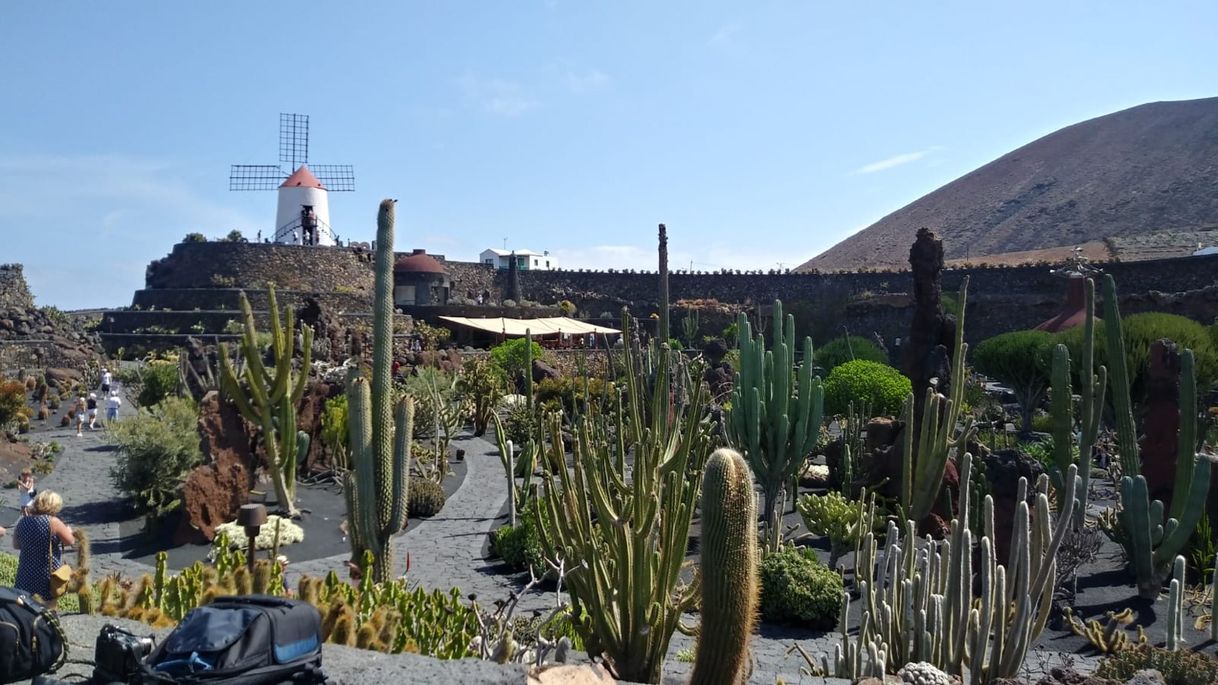 Place Jardín de Cactus de Lanzarote