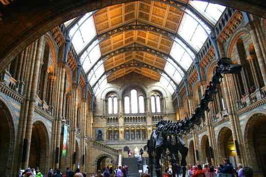 Natural History Museum