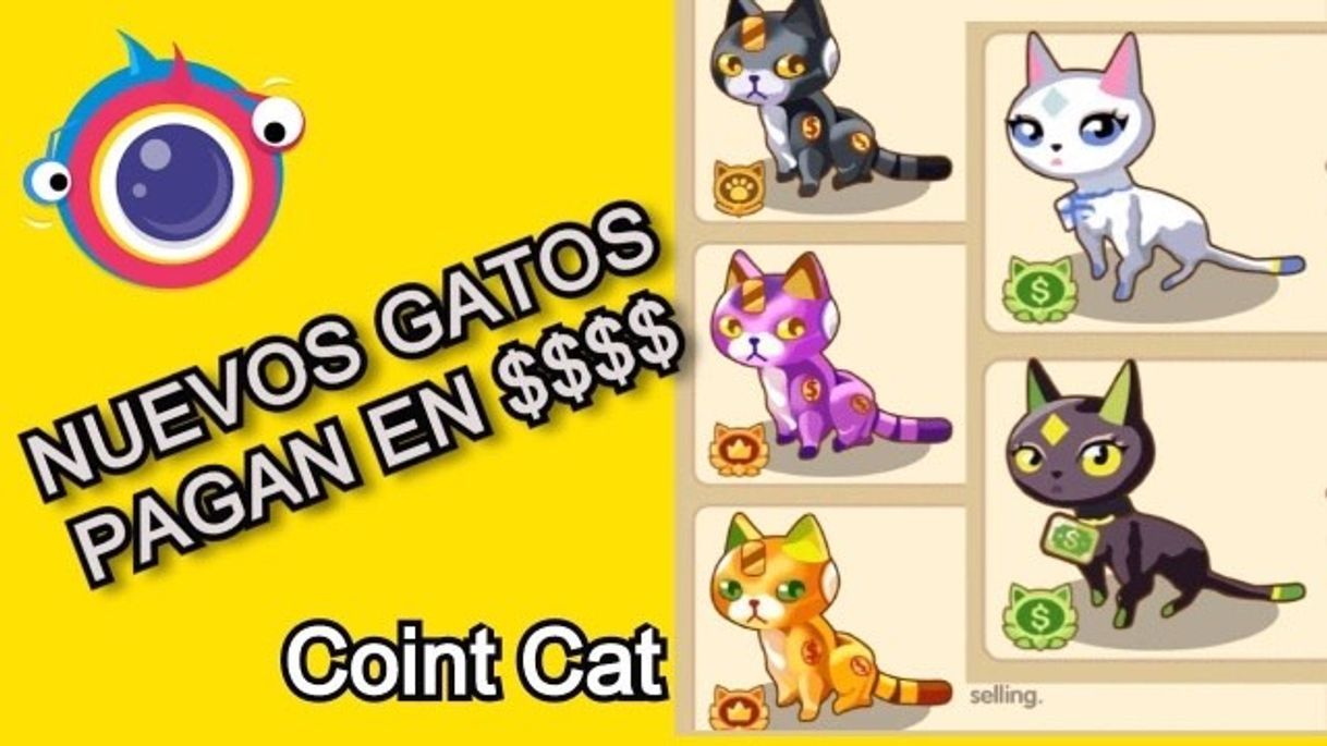 Moda Clipclaps🔥Nuevos GATOS 🤑🤑🤑Coint cat, Nuevo juego para 💵