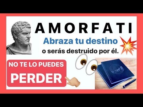 Movies Abraza tu destino desconfía del éxito, abraza la adversidad 