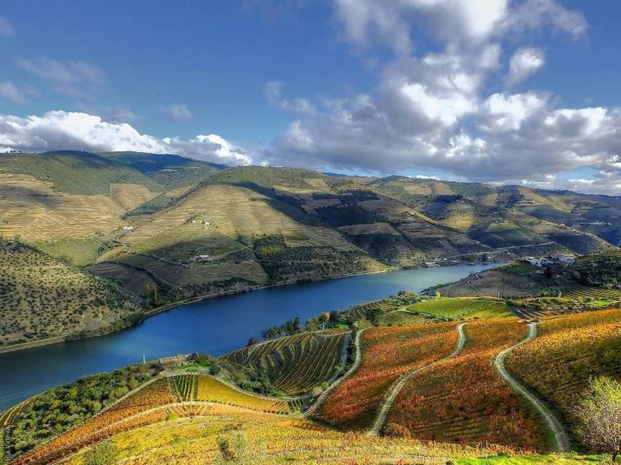 Lugar Douro