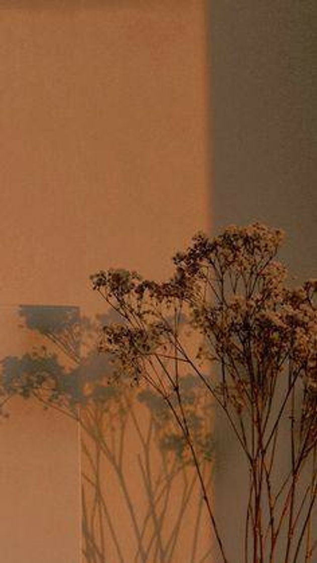 Social Wallpaper
