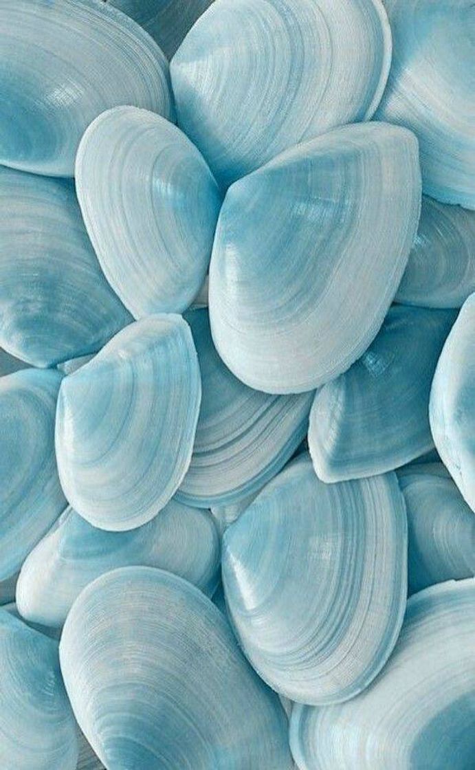 Social Wallpaper