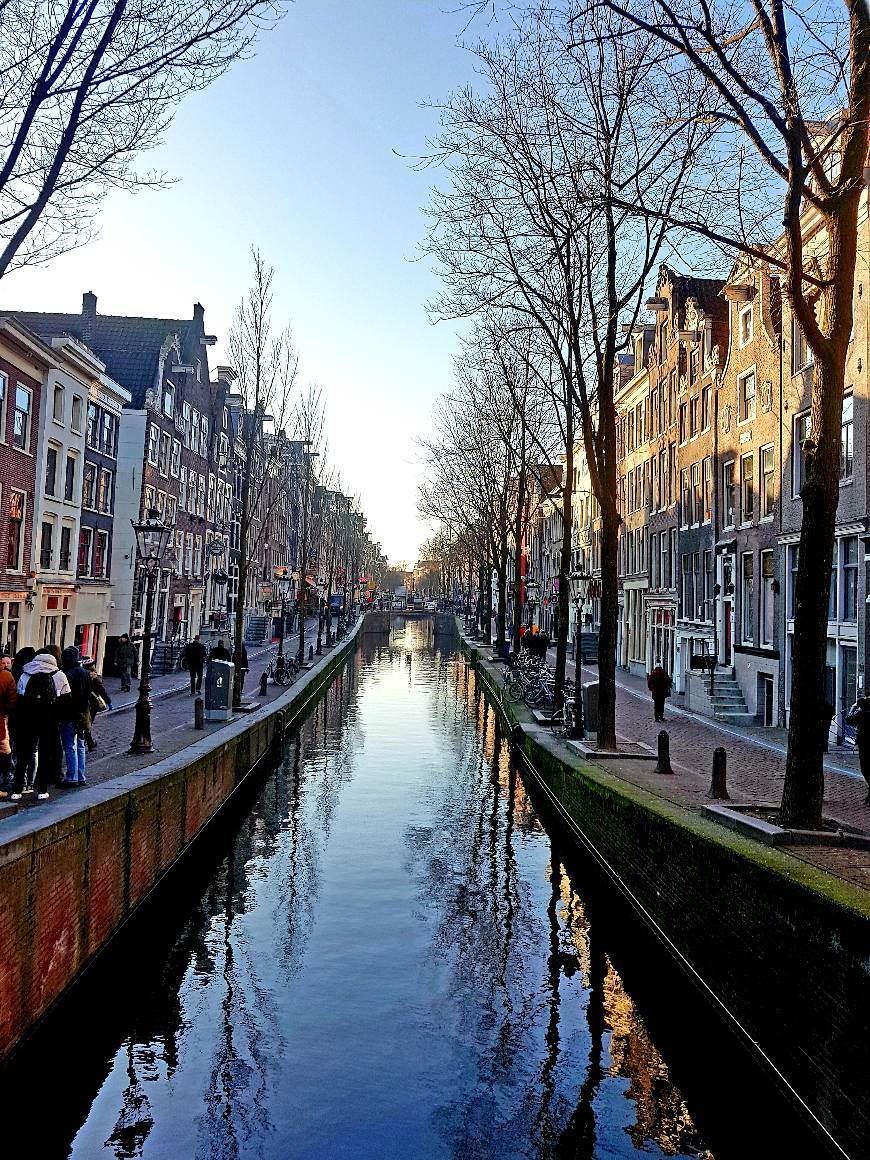 Place Canales de Ámsterdam