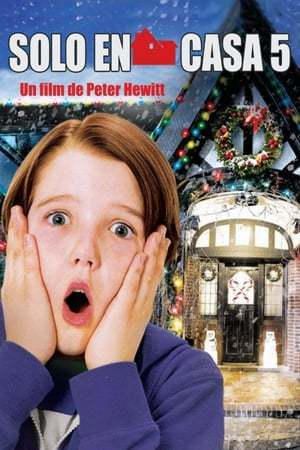 Home Alone: The Holiday Heist