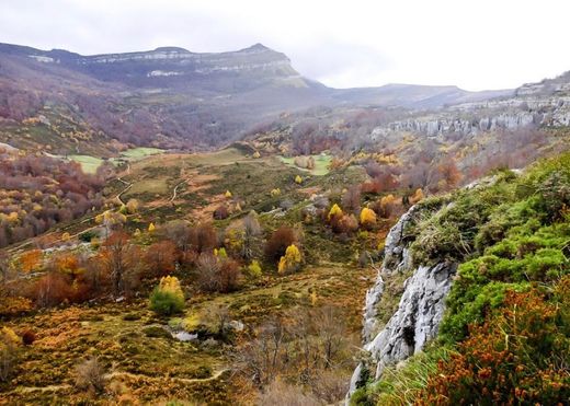 Centro de Interpretación Parque Natural Collados del Asón - Naturea Cantabria