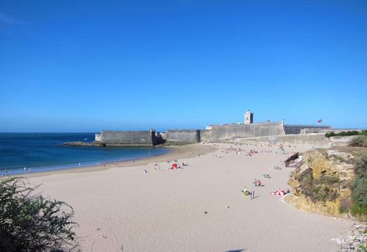 Torre's beach