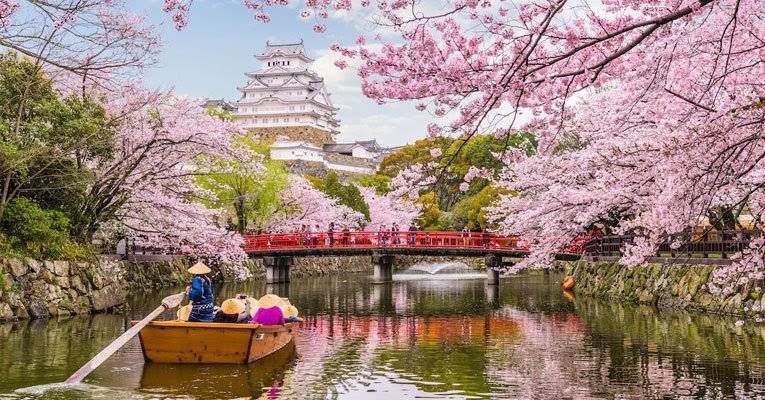 Fashion Cerejeiras Desabrochando no Japão