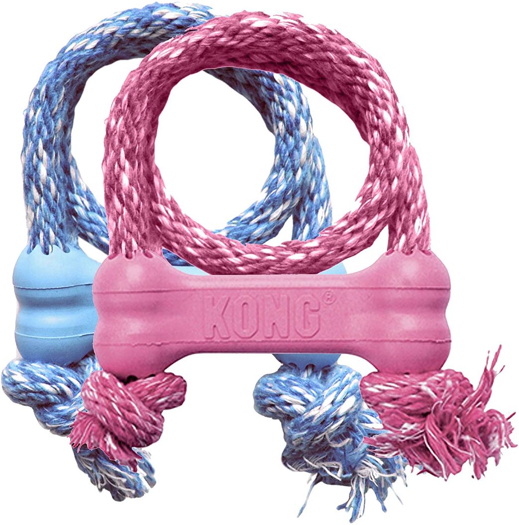 Social KONG Puppy Goodie Bone with Rope Dog Toy, Color Varies ...