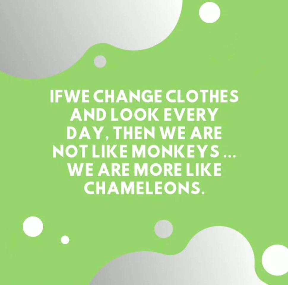 Fashion Chameleons