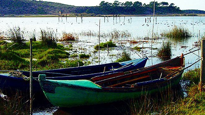 Lugar Reserva Natural das Lagoas de Santo André e Sancha