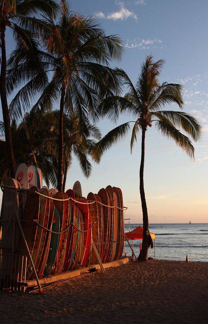 Social 🏄🏻‍♀️🌊