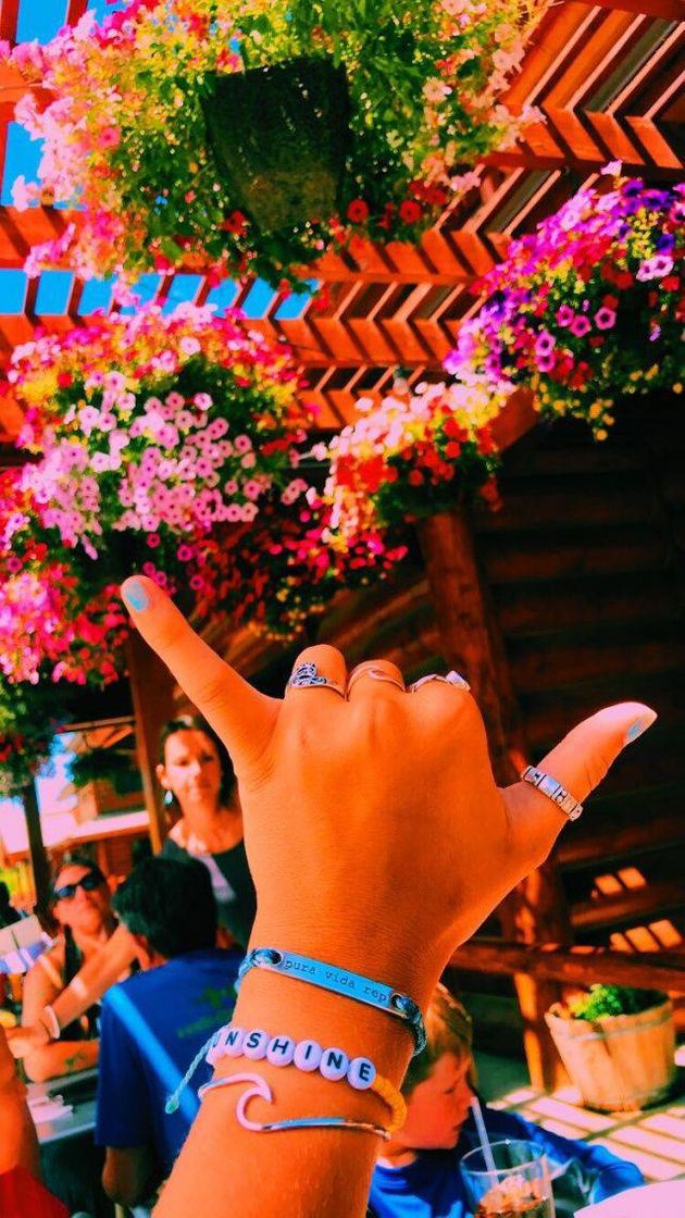 Social Vibes 🤙🏻🏵️