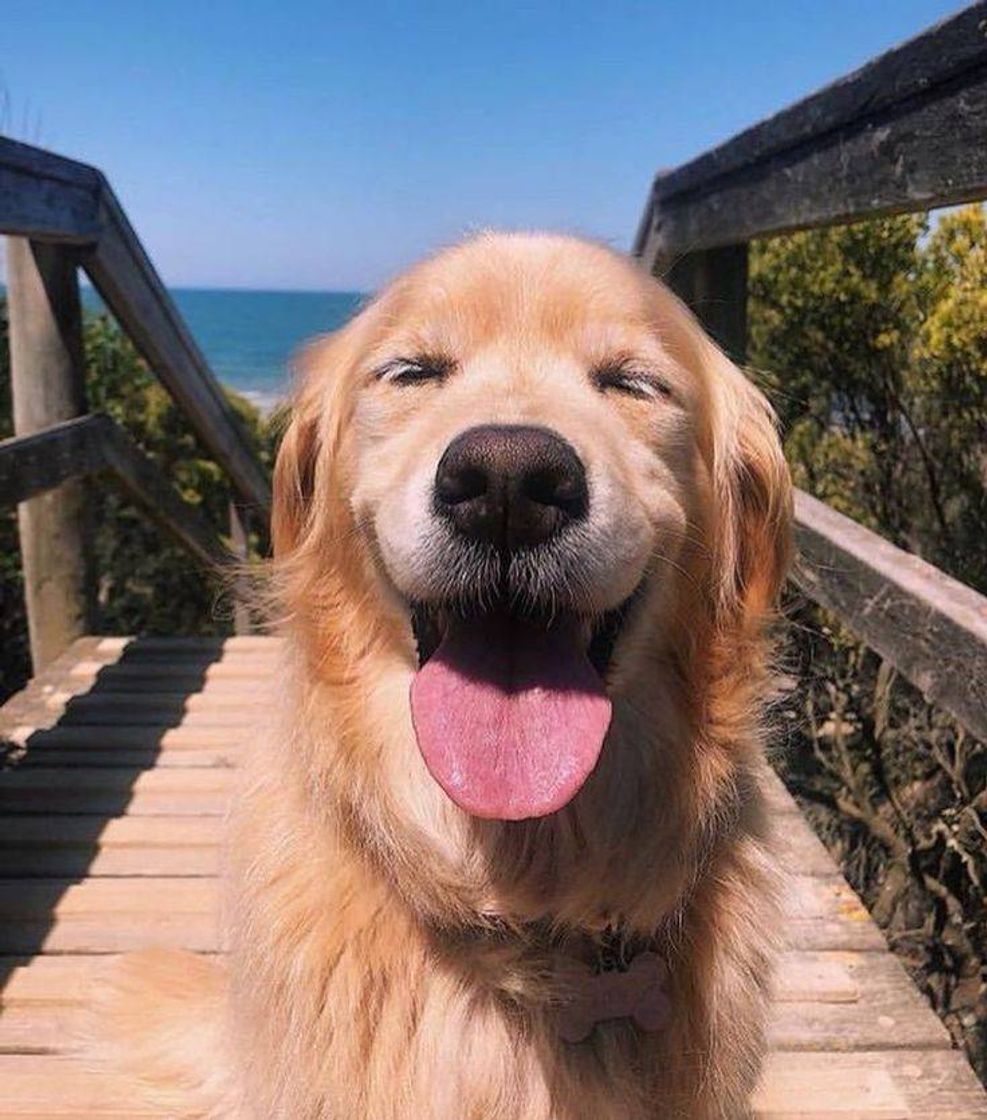 Social A mar amar e 🌊