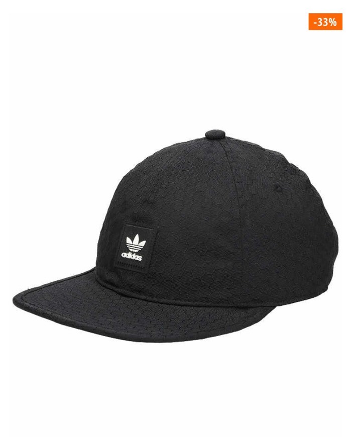 ADIDAS SKATEBOARDING INSLEY CAP