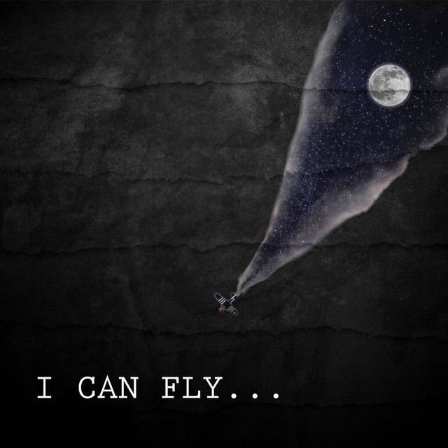 Music I Can Fly