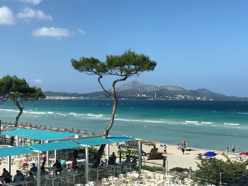 Place Palma de Mallorca