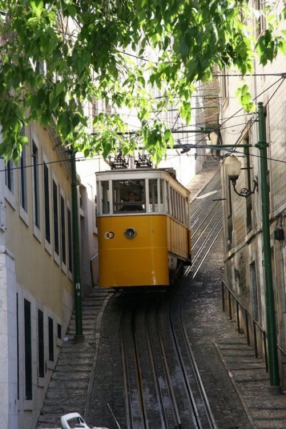 Lugar Ascensor do Lavra