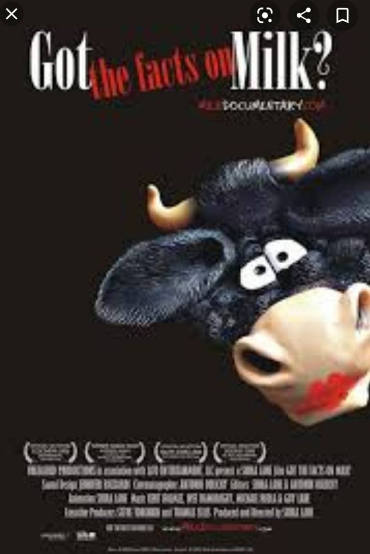 ¿Qué sabes de la leche?