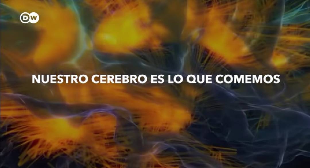 Movie Nuestro cerebro es lo que comemos