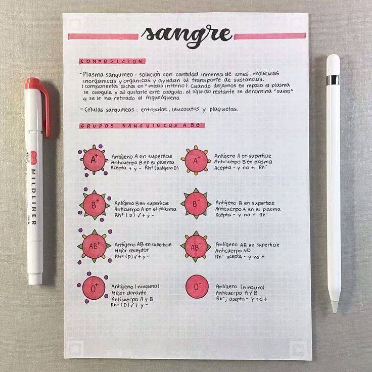 Social Apuntes Medicina 
