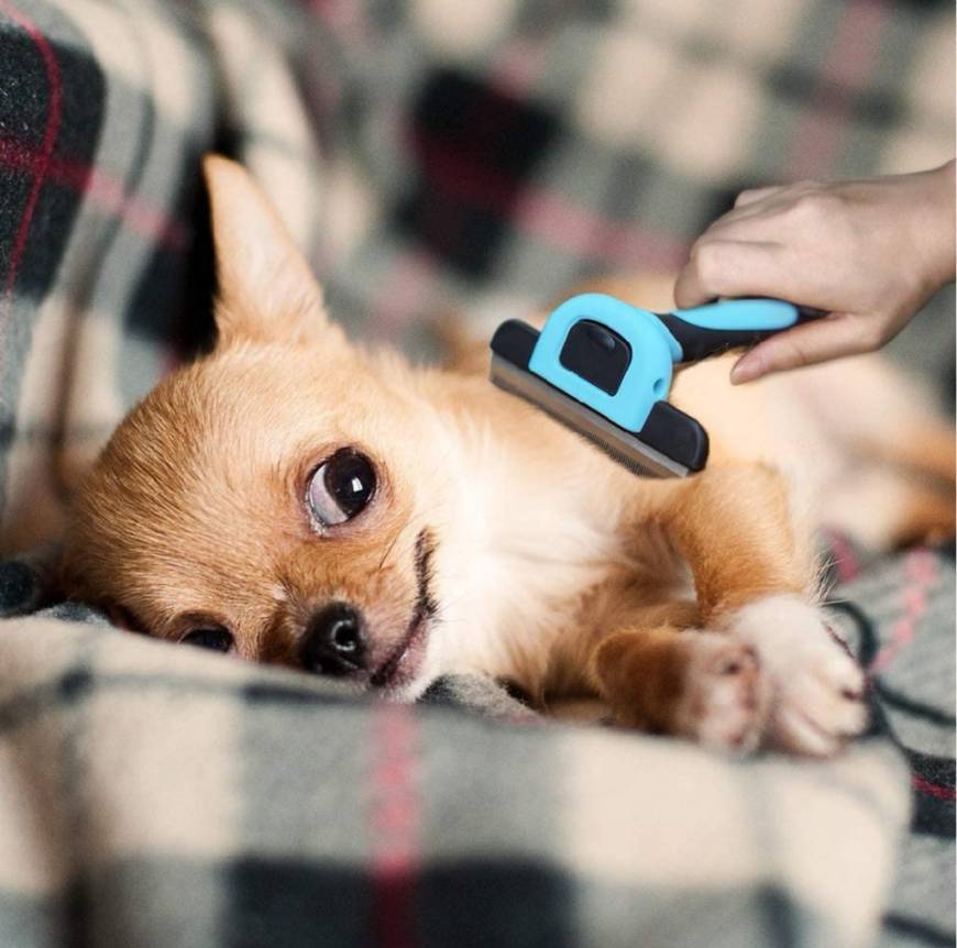 Place VersionTECH. Cepillo para Perros y Gatos
