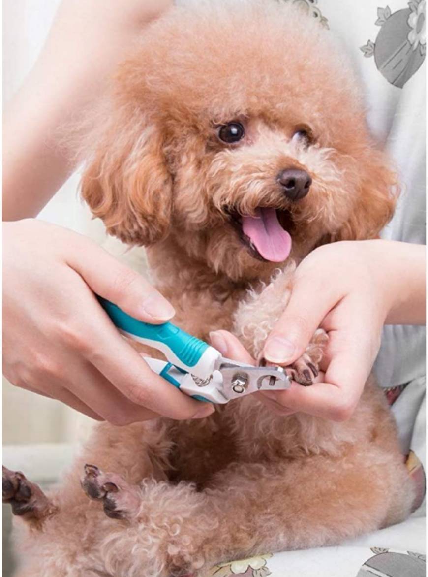 Social Cortauñas de perro profesional para razas de perro pequeño