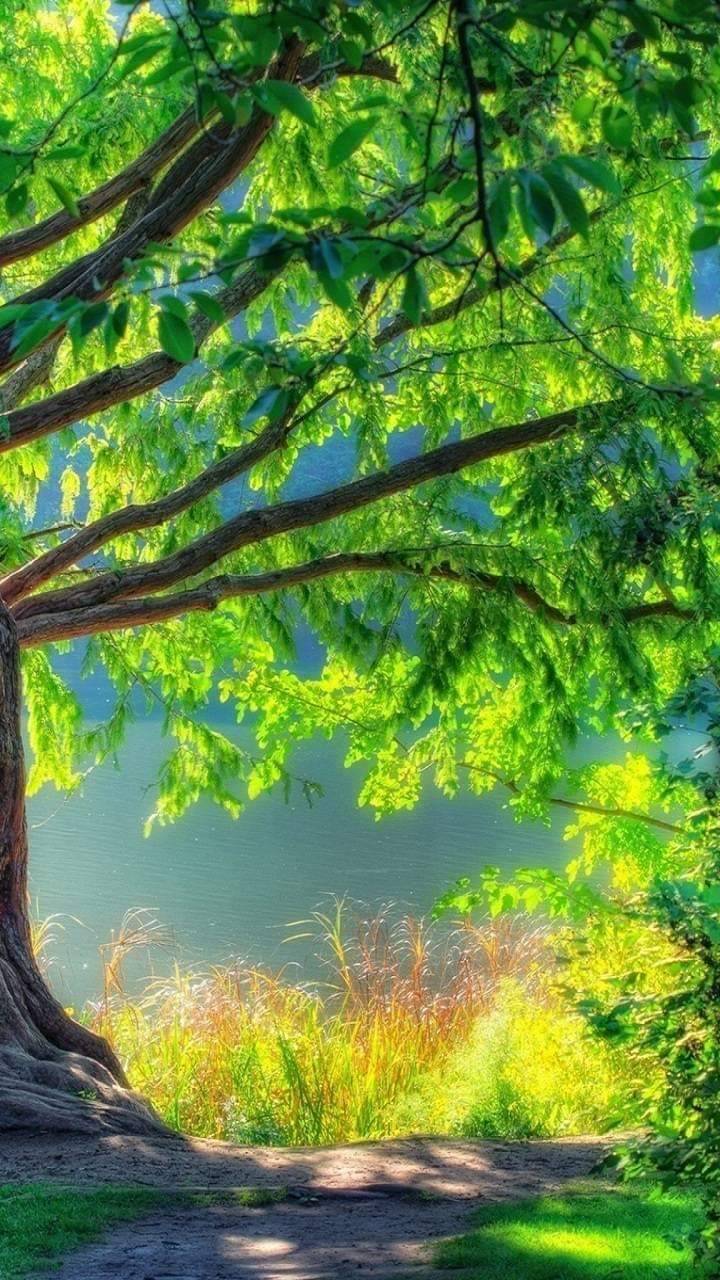 Social Fondo 💚