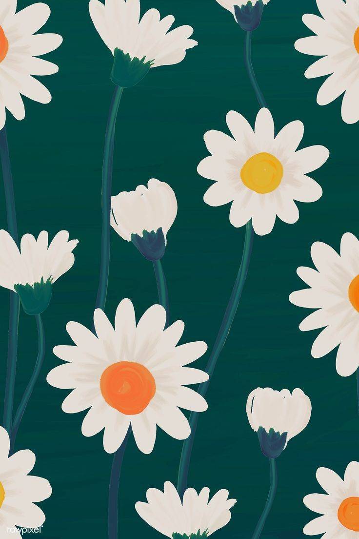 Social Fondo Flores 🌼