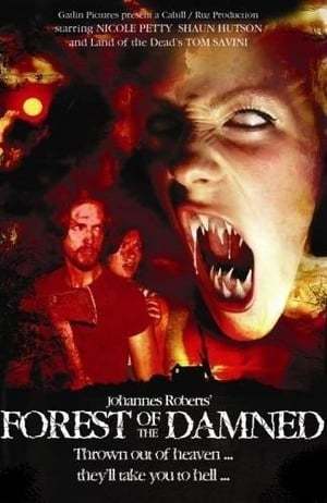 Movie El bosque de los malditos