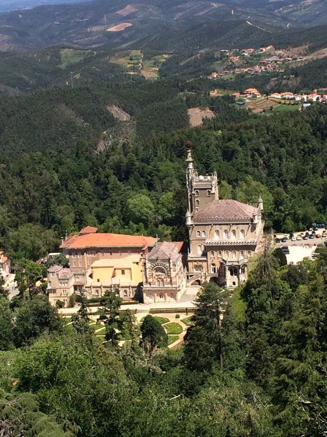 Place Mata Nacional do Buçaco